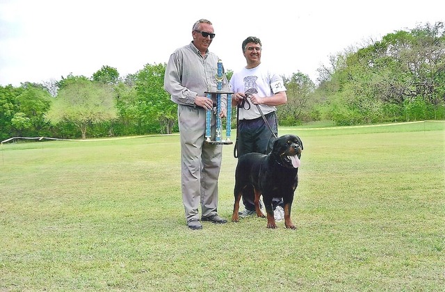 Gir von Hause Milsped winning USRC South Central Regional Siger at 9.5 years old