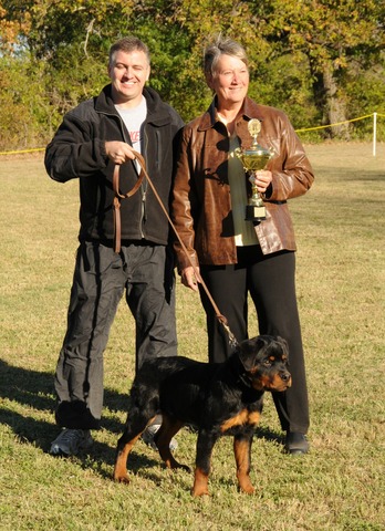 2008 SCRS Best Male Puppy: Gir's Kas von Warterr