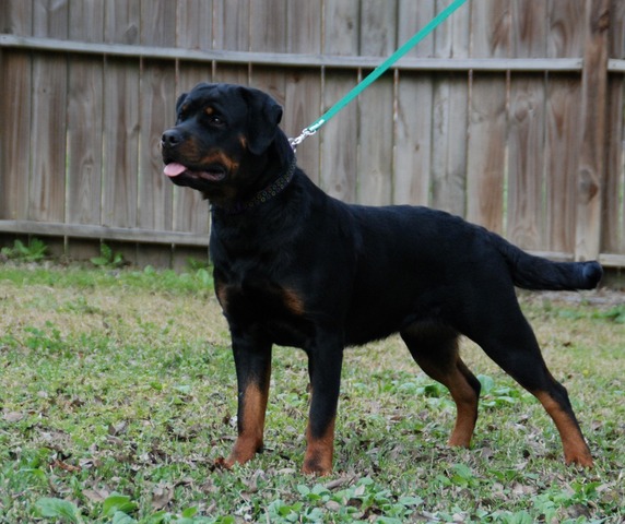 Fiona von Warterr at 13 months old