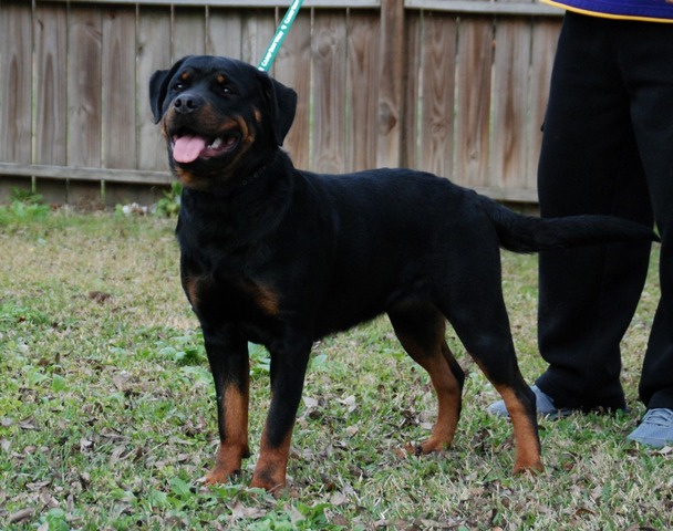 Fiona von Warterr at 13 months old