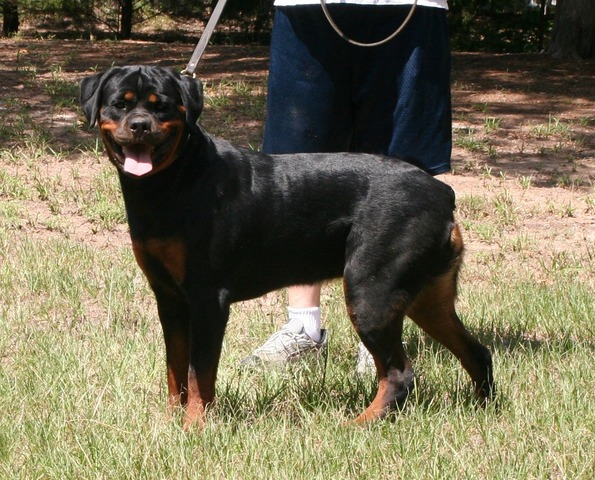 Joy von Warterr at one year old