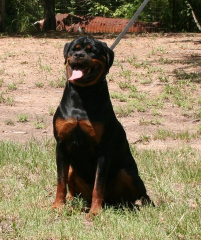 Joy von Warterr at one year old