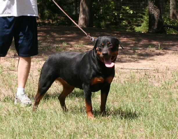 Cita von Warterr at 2 years of age