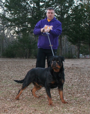 Jennason's Cajun Gee Gee at 23 months