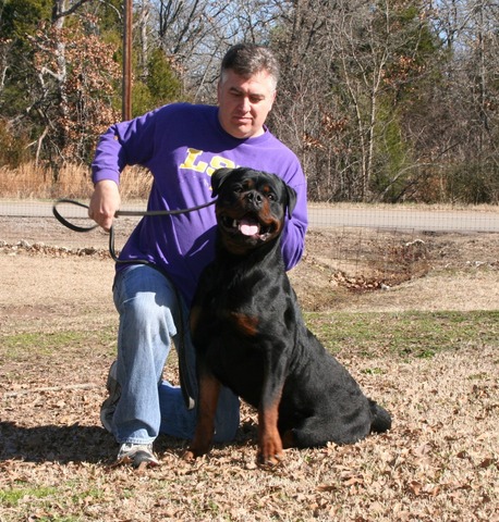 Jennason's Cajun Gunner at 24 months old