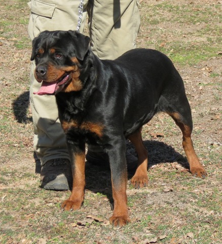 Helga von Warterr at 2 years old