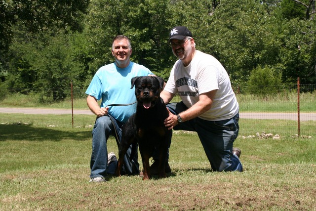 Jennason's Cajun Gunner at 30 months old