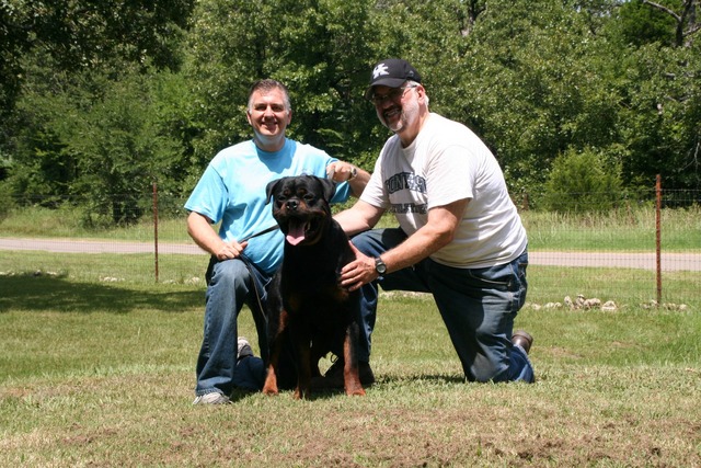 Jennason's Cajun Gunner at 30 months old