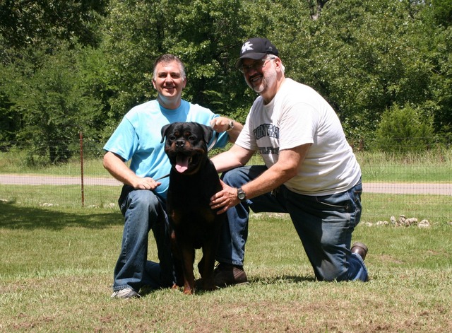 Jennason's Cajun Gunner at 30 months old