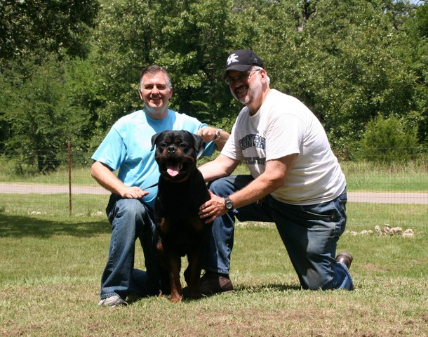 Jennason's Cajun Gunner at 30 months old