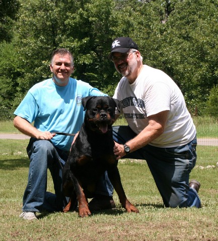 Jennason's Cajun Gunner at 30 months old