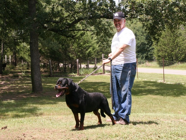 Jennason's Cajun Gunner at 30 months old