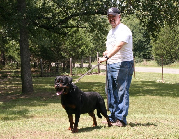 Jennason's Cajun Gunner at 30 months old