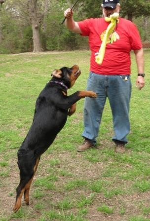 Kashmere at 5 months