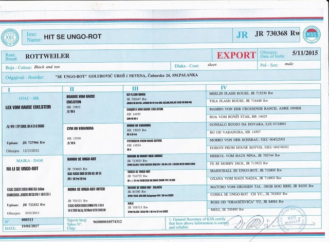 Hit FCI Pedigree