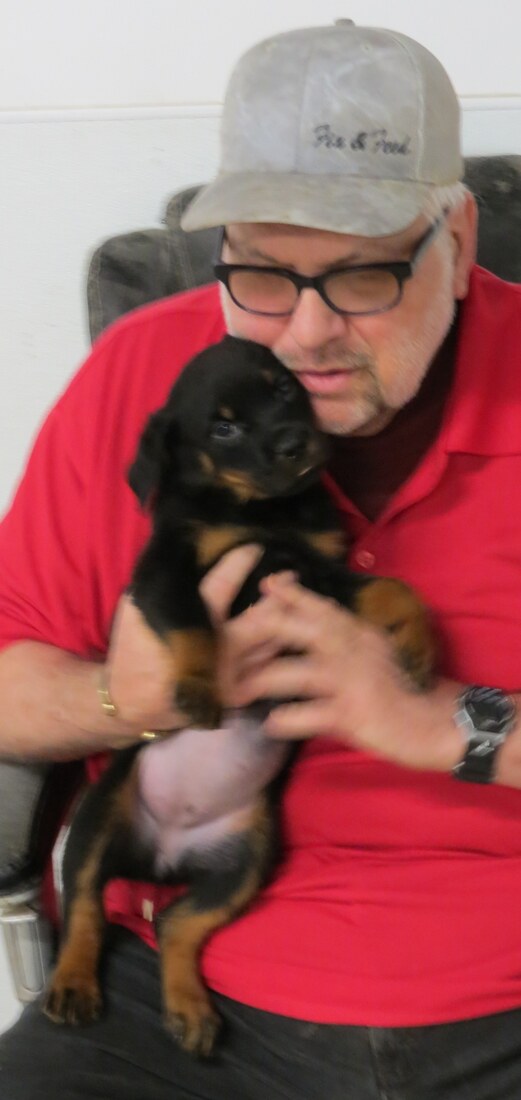 Blitx @ 8.5wks 3.JPG