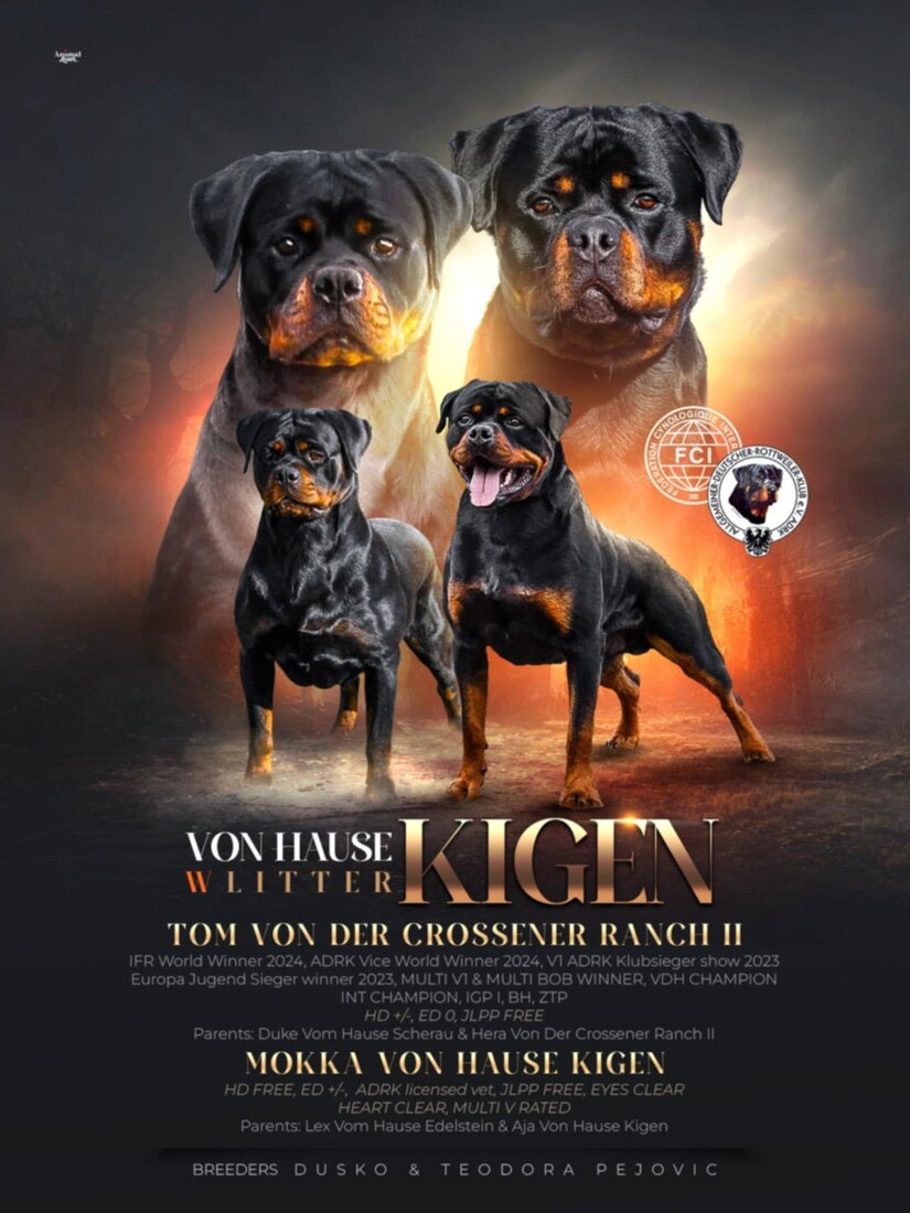 Tom vd CR2 and Mokka