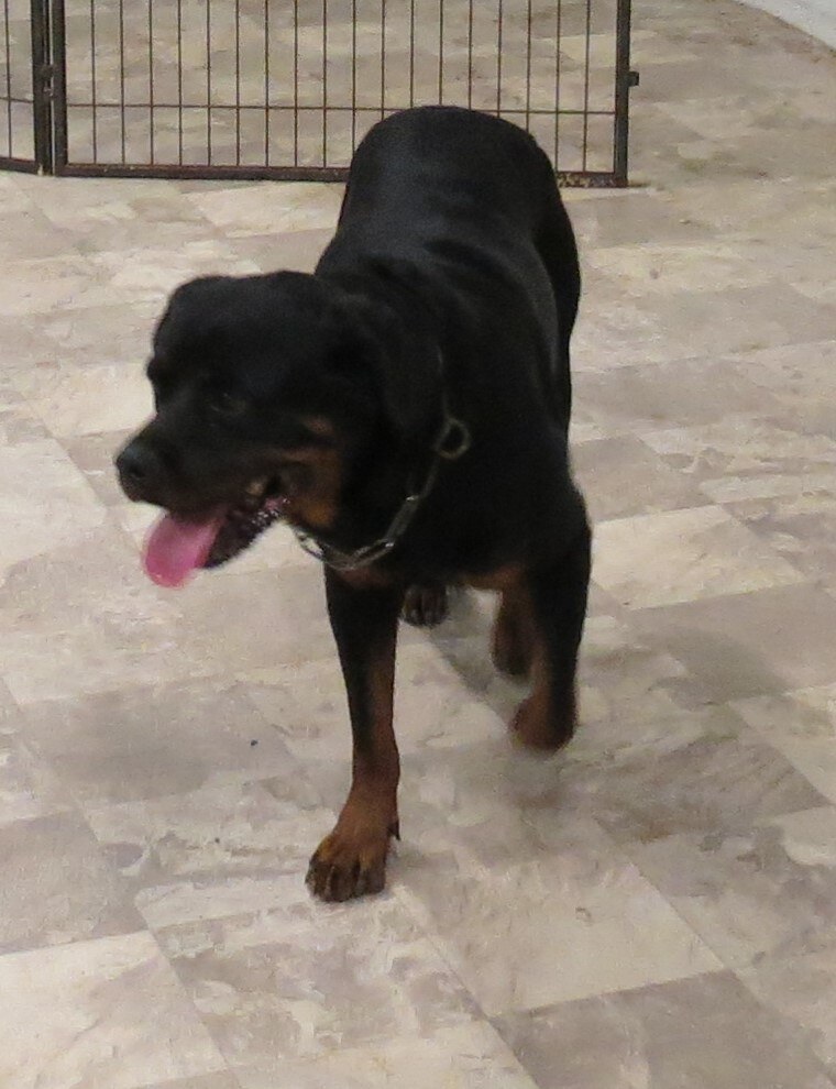 Fiona 1JPG