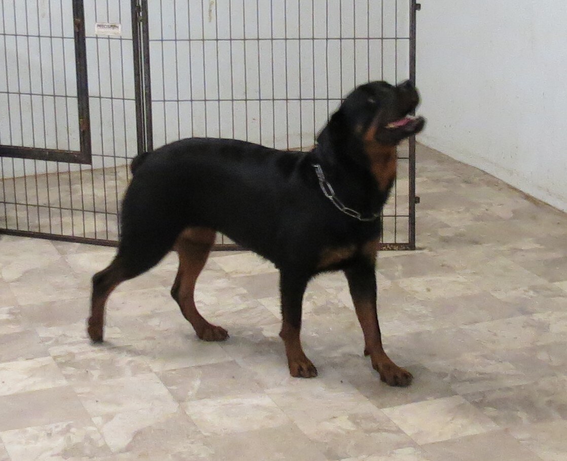 Fiona 3JPG