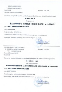Ines' Championship Certificate