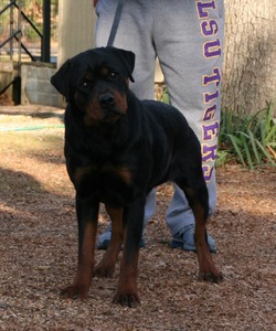 13 Months Old