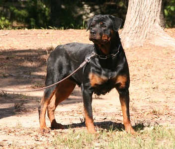 Pictured at 4.5 years old