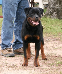 8 Months Old