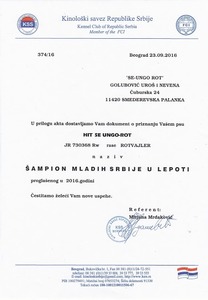 Hit Serbian Title