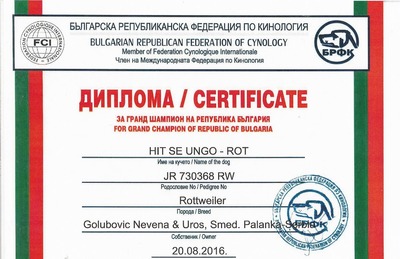 Hit Bulgaria GrChamp