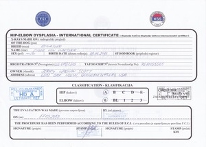 Luger FCI