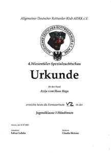 Azija ADRK V2 2