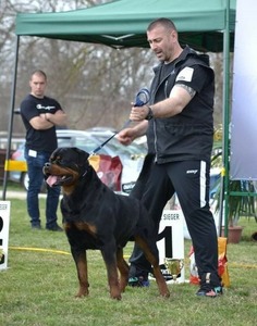 Runi 4
