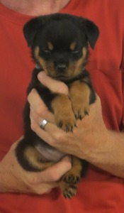 M Jen @ 7wks 1