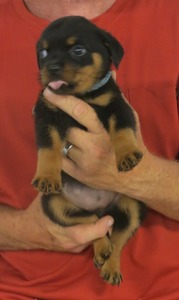 M Jen @ 7wks 2