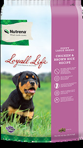 Nutrena Loyall Large Breed Puppy Chicken & Rice