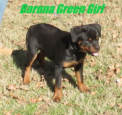 Monaco X Barona Green Female