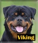 Winks vom Tannenfeld (Viking)