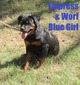 Worf X Empress Blue Female
