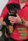 Monaco X Barona Green Female
