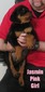 Xanthos X Jasmin Pink Female