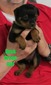 Radek X Dusk Green Female