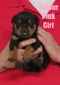 Xanthos X Velour Pink Female